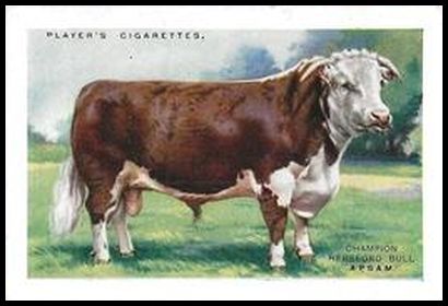 25PBPS 9 Hereford Cattle.jpg